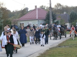 szuret16_27_20220219